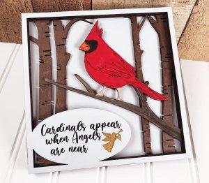 Spiritual & Inspirational